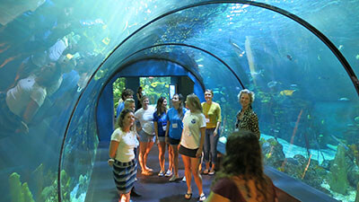 people stand in an aquarium