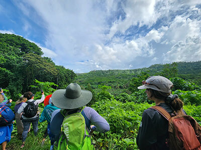 people tak pictures if a lush green tropical forest while on a hike