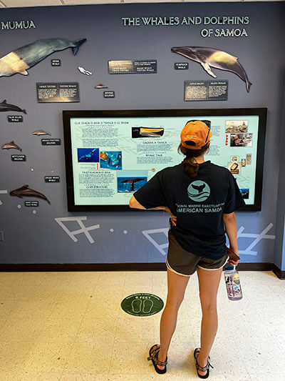 a woman looks at a wall that depicts various types of whales