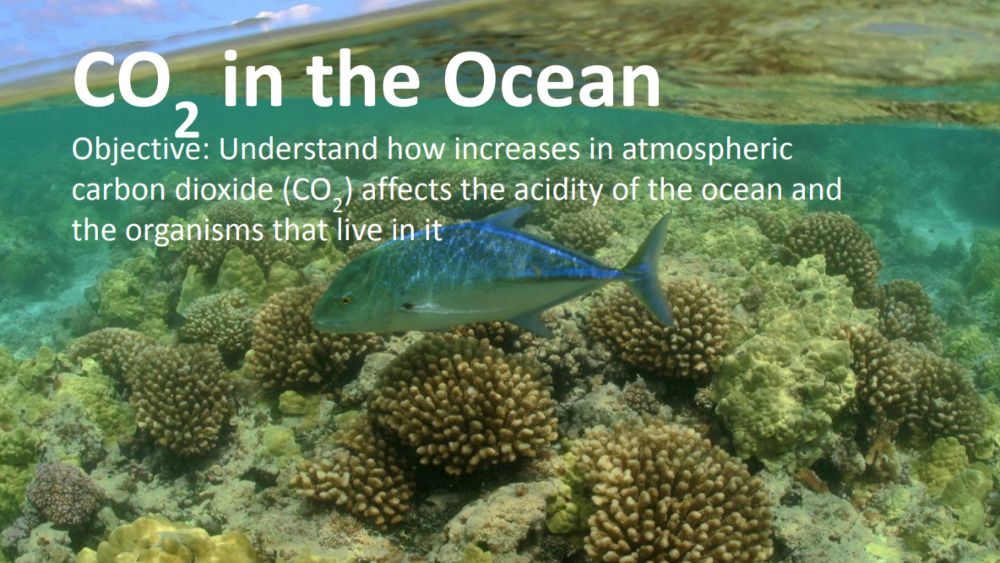 Preview slide for CO2 in the Ocean lesson plan