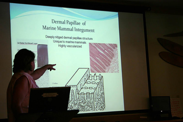 A scholar giving standing at a podium giving a presentation
