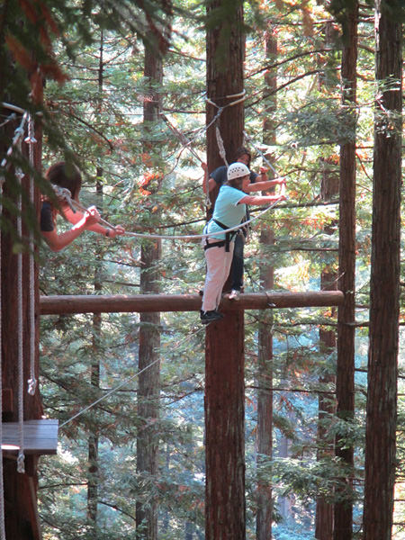 Sherri Eldridge crossing a rope line among the tree tops