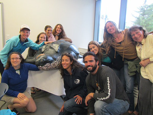 Nancy Foster Scholars posing infront of a sea turtle exhibit
